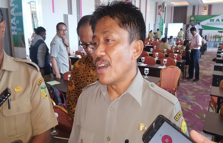 Bupati dan Walikota Ditantang Tanam Jagung di Areal Perkebunan